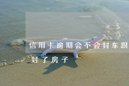 信用卡逾期会不会封车跟房子(欠信用卡逾期封了房子)