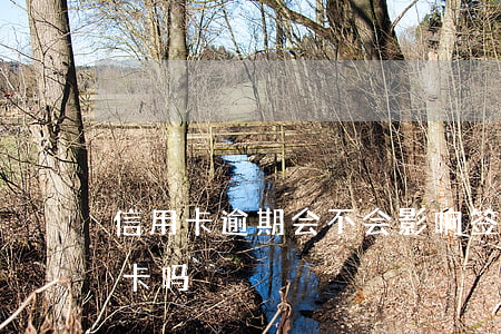 信用卡逾期会不会影响签证(逾期会影响信用卡吗)