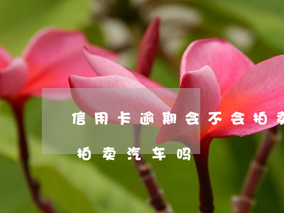 信用卡逾期会不会拍卖名下汽车 欠信用卡会拍卖汽车吗