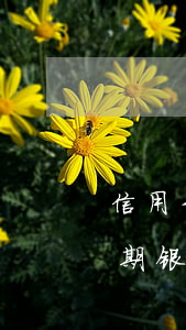 信用卡逾期会不会民事诉讼(为什么信用卡逾期银行不起诉)