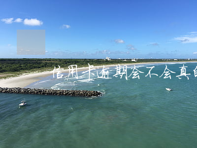 信用卡逾期会不会真的坐牢(信用卡 逾期 后果)