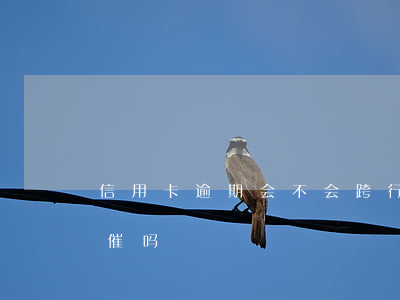 信用卡逾期会不会跨行催款(贷款逾期会有人催吗)
