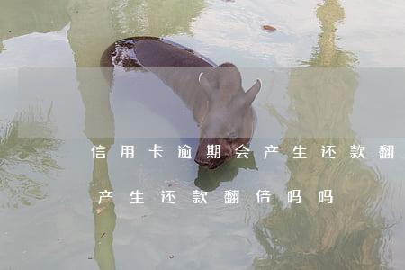 信用卡逾期会产生还款翻倍吗 信用卡逾期会产生还款翻倍吗吗