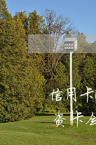 信用卡逾期会会不会扣工资(欠银行信用卡工资卡会被扣吗)