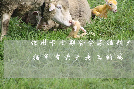 信用卡逾期会会冻结财产(信用卡逾期说要冻结所有资产是真的吗)