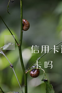 信用卡逾期会使手机停机吗(手机可以停信用卡吗)