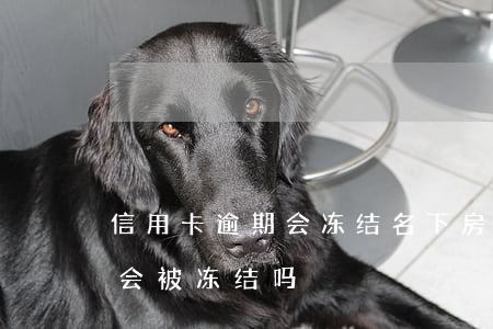 信用卡逾期会冻结名下房子么(欠信用卡房子会被冻结吗)