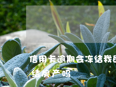 信用卡逾期会冻结我的财产吗(欠信用卡会冻结房产吗)