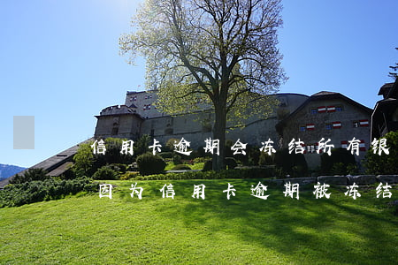 信用卡逾期会冻结所有银行卡号吗-银行卡因为信用卡逾期被冻结怎么办