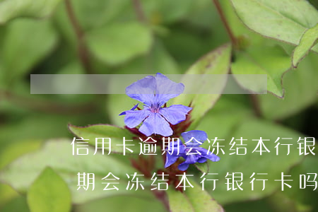 信用卡逾期会冻结本行银行卡吗-信用卡逾期会冻结本行银行卡吗安全吗