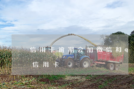 信用卡逾期会加微信和qq吗(QQ腾讯微加信用卡)