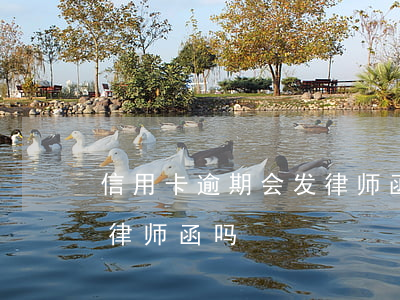 信用卡逾期会发律师函吗(信用卡逾期会收到律师函吗)