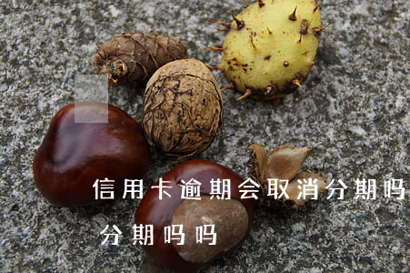 信用卡逾期会取消分期吗(信用卡逾期会取消分期吗吗)