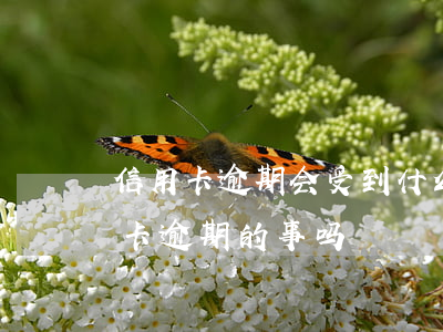 信用卡逾期会受到什么管控(公安局会管信用卡逾期的事吗)