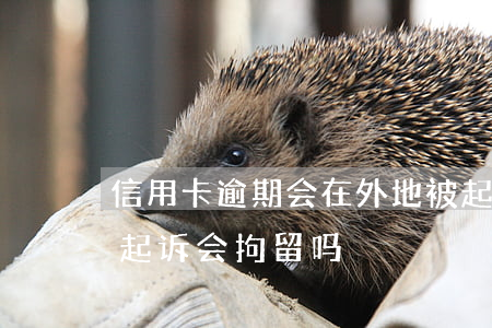 信用卡逾期会在外地被起诉吗(欠信用卡逾期起诉会拘留吗)