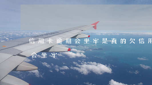 信用卡逾期会坐牢是真的(欠信用卡逾期会不会坐牢)