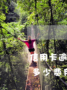 信用卡逾期会多收费用吗(信用卡逾期会产生多少费用)