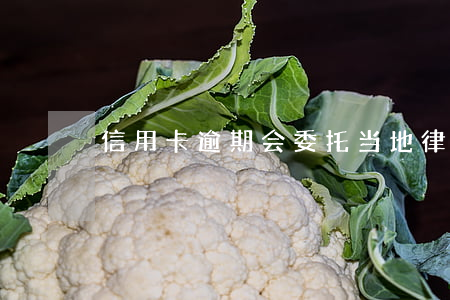 信用卡逾期会委托当地律师事务所吗