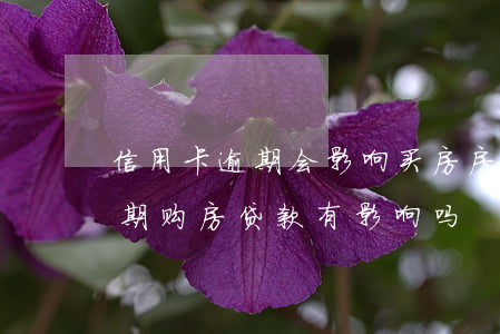 信用卡逾期会影响买房房贷(不小心信用卡逾期,购房贷款有影响吗)