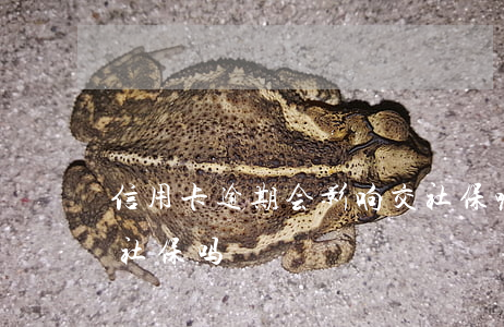 信用卡逾期会影响交社保嘛(逾期影响交医保社保吗)
