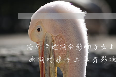 信用卡逾期会影响子女上学么 离婚后信用卡逾期对孩子上学有影响吗