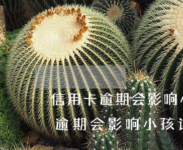 信用卡逾期会影响小孩读幼儿园吗-信用卡逾期会影响小孩读幼儿园吗知乎