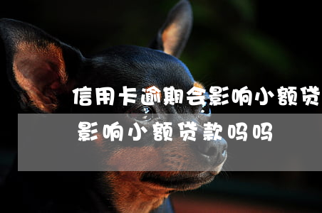 信用卡逾期会影响小额贷款吗 信用卡逾期会影响小额贷款吗吗