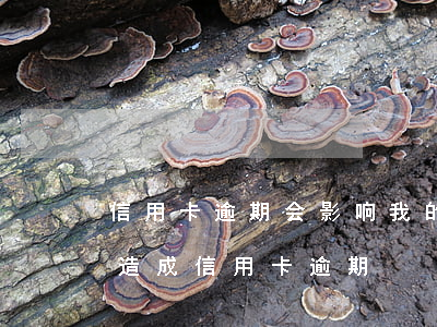 信用卡逾期会影响我的工资卡吗 因拖欠工资造成信用卡逾期