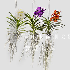信用卡逾期会影响烟草订烟吗(用信用卡付烟款违规吗)