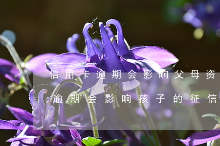 信用卡逾期会影响父母资产吗(父母欠信用卡逾期会影响孩子的征信吗)