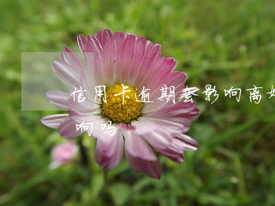 信用卡逾期会影响离婚吗(离婚对信用卡有影响吗)