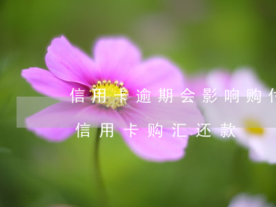 信用卡逾期会影响购付汇么(不纳入购汇仅为信用卡购汇还款)