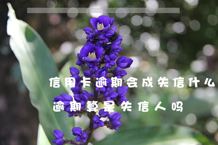信用卡逾期会成失信(什么是失信人员信用卡逾期算是失信人吗)