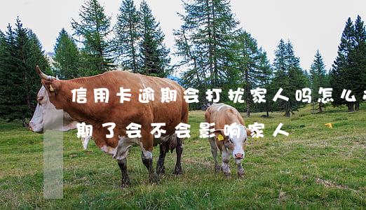 信用卡逾期会打扰家人吗怎么办(我信用卡逾期了会不会影响家人)