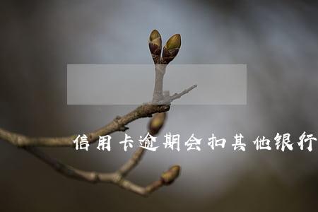 信用卡逾期会扣其他银行卡的钱不