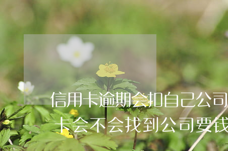 信用卡逾期会扣自己公司户的钱吗-欠信用卡会不会找到公司要钱