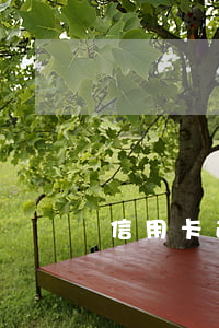 信用卡逾期会找担保吗