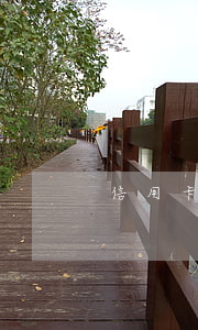 信用卡逾期会拘留吗(刑拘期间信用卡逾期)