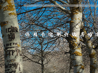 信用卡逾期会收房吗 逾期收房有什么后果