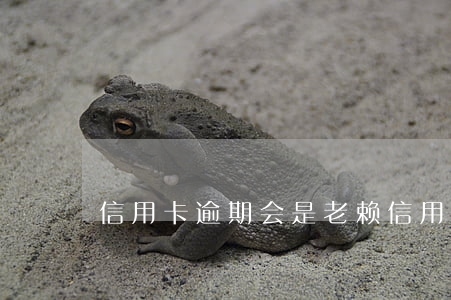信用卡逾期会是老赖(信用卡逾期)