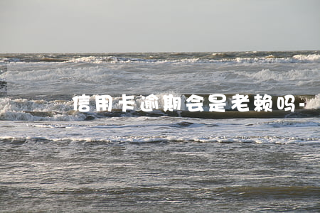 信用卡逾期会是老赖吗-逾期会成为老赖吗
