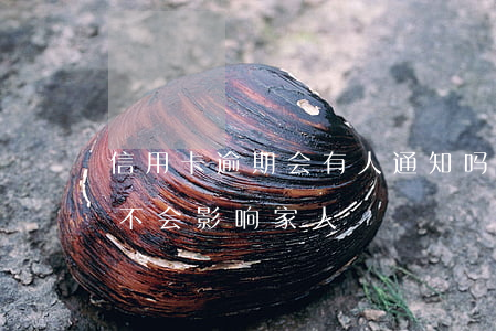 信用卡逾期会有人通知吗(我信用卡逾期了会不会影响家人)