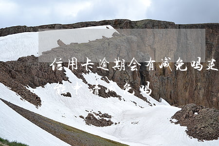 信用卡逾期会有减免吗(建行的信用卡逾期后能申请减免吗)