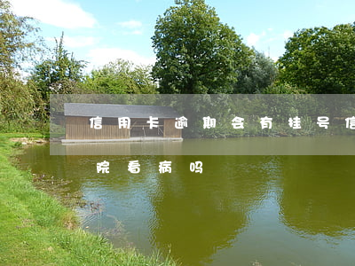 信用卡逾期会有挂号信么(信用卡逾期能去医院看病吗)