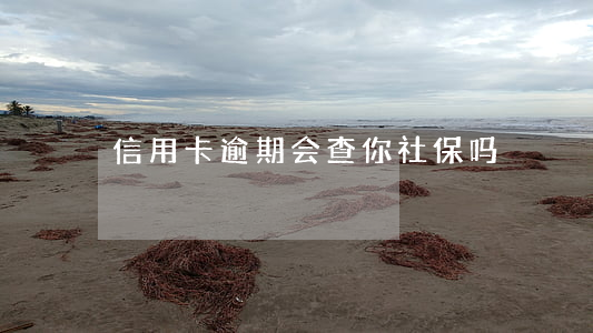 信用卡逾期会查你社保吗