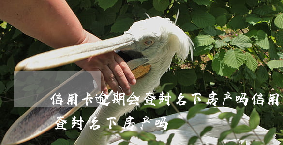 信用卡逾期会查封名下房产吗(信用卡逾期会查封名下房产吗?)