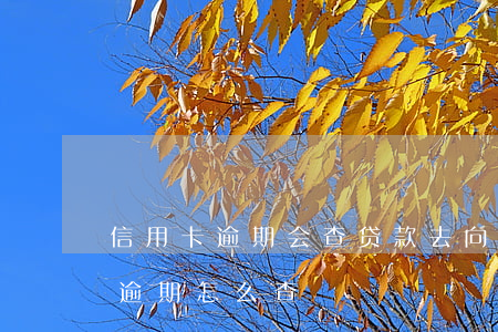 信用卡逾期会查贷款去向吗(查信用卡有没有逾期怎么查)