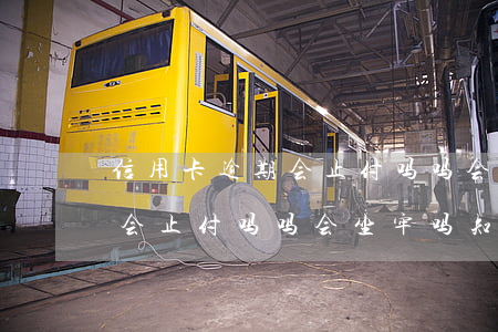 信用卡逾期会止付吗吗会坐牢吗(信用卡逾期会止付吗吗会坐牢吗知乎)