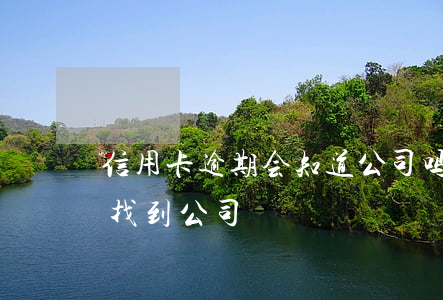 信用卡逾期会知道公司吗(信用卡逾期会不会找到公司)