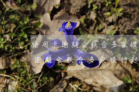 信用卡逾期会联合多家银行起诉吗-信用卡逾期会联合多家银行起诉吗知乎